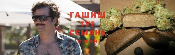 прущие грибы Белокуриха
