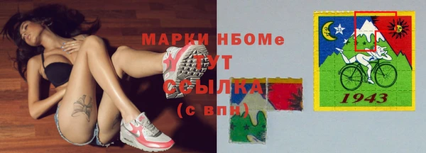 прущие грибы Белокуриха