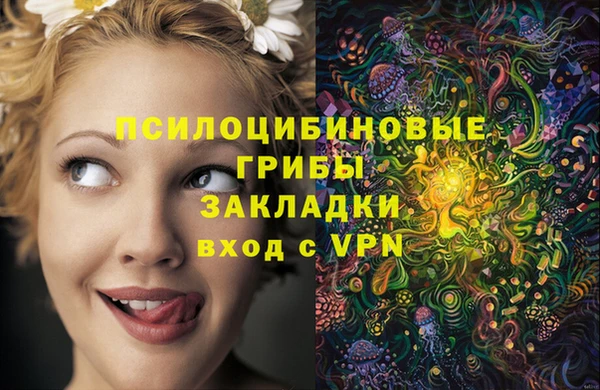 прущие грибы Белокуриха