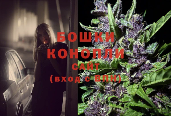 прущие грибы Белокуриха