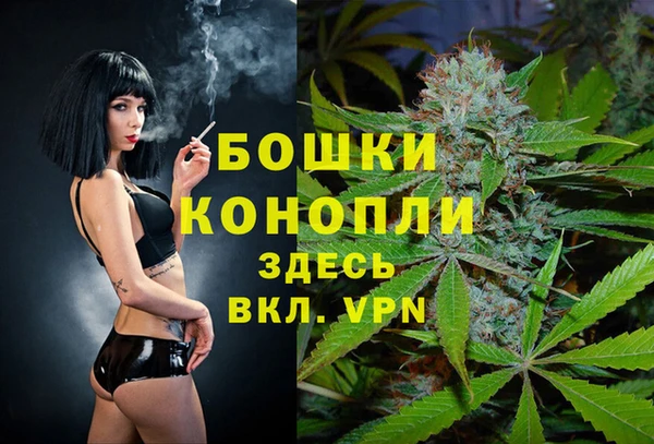 прущие грибы Белокуриха