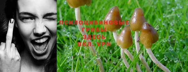 MESCALINE Белоозёрский