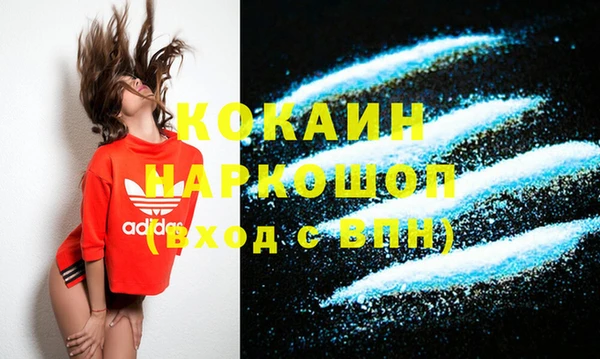 прущие грибы Белокуриха