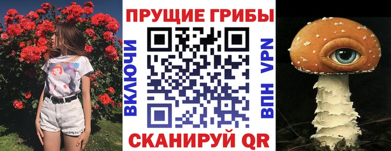 Псилоцибиновые грибы Cubensis  Плёс 